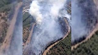 İzmir'de orman yangını! Havadan ve karadan müdahale başladı