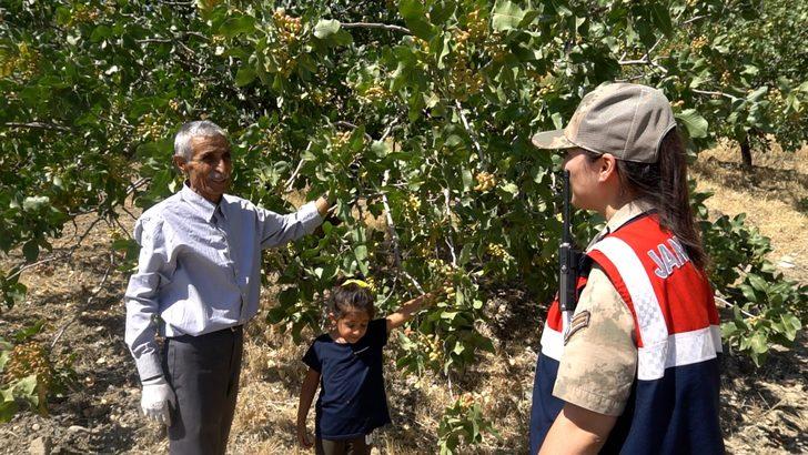 Siirt'te fıstık hırsızlığına karşı termal kameralı dronla denetim G3