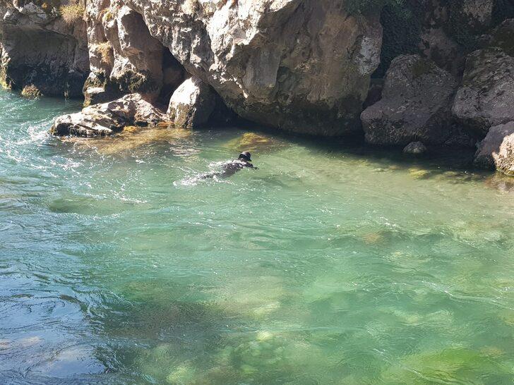 Müküs Çayı'nda kaybolan hemşireyi dalgıç polisler arıyor G1