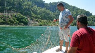 Deniz kaplumbağalarının balıkçılık faaliyetlerinden etkilenmemesi sağlanacak