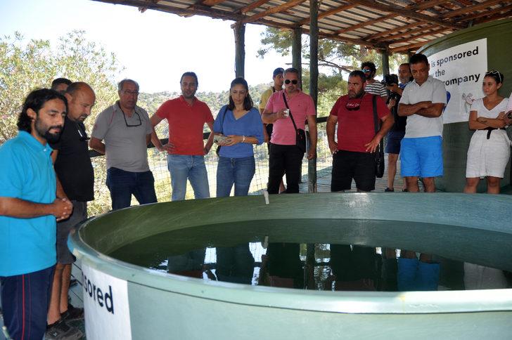 Deniz kaplumbağalarının balıkçılık faaliyetlerinden etkilenmemesi sağlanacak G3