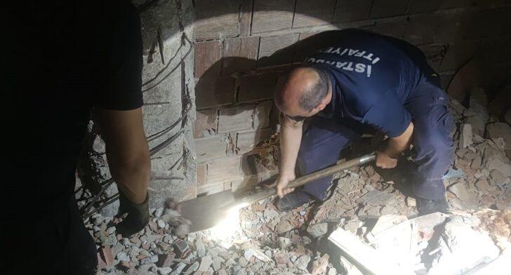 Zeytinburnu'nda yıkılan binanın hafriyatının altında kalan kedi yavruları kurtarıldı G2