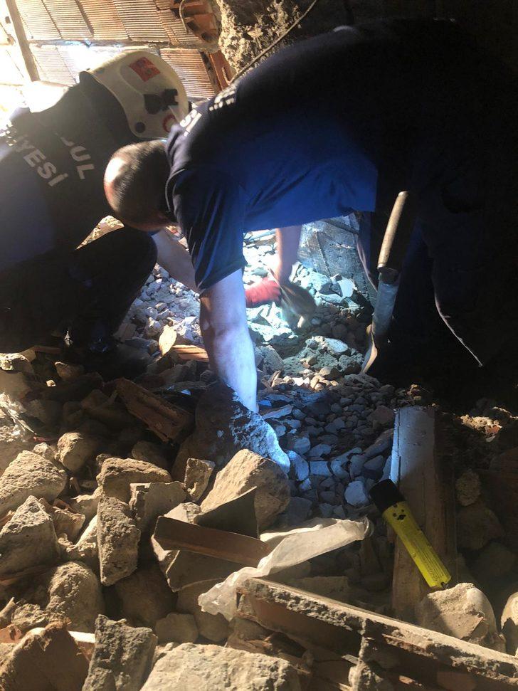 Zeytinburnu'nda yıkılan binanın hafriyatının altında kalan kedi yavruları kurtarıldı G3