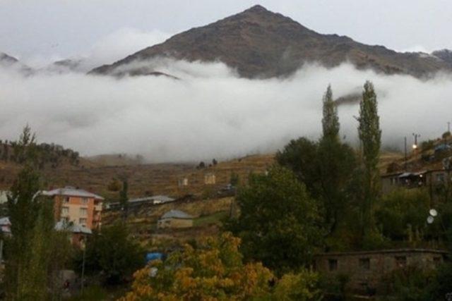 Hakkari de 8 şehit 4
