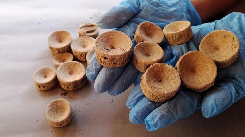 Patara'da köpek balığı ve vatoz kemikleri bulundu! Tam 2 bin 600 yıllık