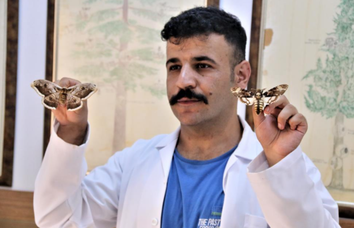 60 yıldır korunuyor! Yanan ormanlık alandan toplanan böcekler bu müzede sergileniyor G3