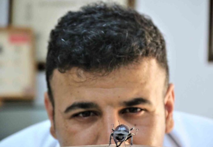 60 yıldır korunuyor! Yanan ormanlık alandan toplanan böcekler bu müzede sergileniyor G4