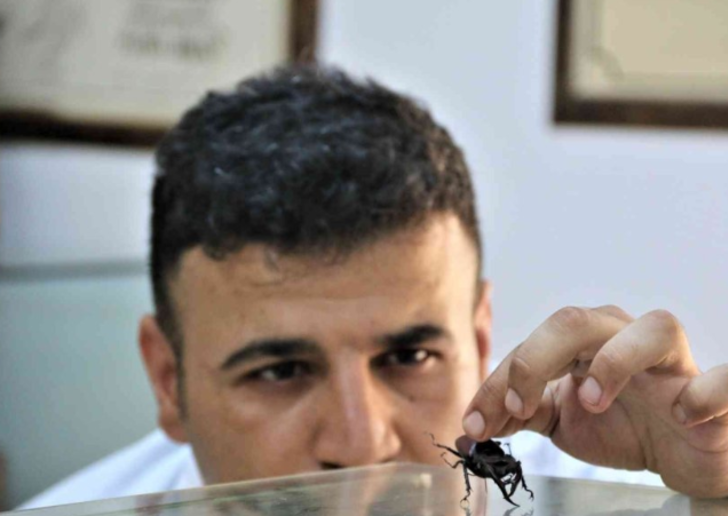 60 yıldır korunuyor! Yanan ormanlık alandan toplanan böcekler bu müzede sergileniyor G5