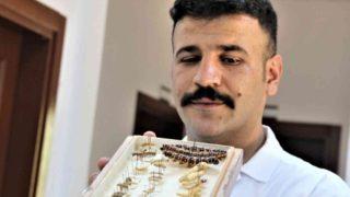 60 yıldır korunuyor! Yanan ormanlık alandan toplanan böcekler bu müzede sergileniyor