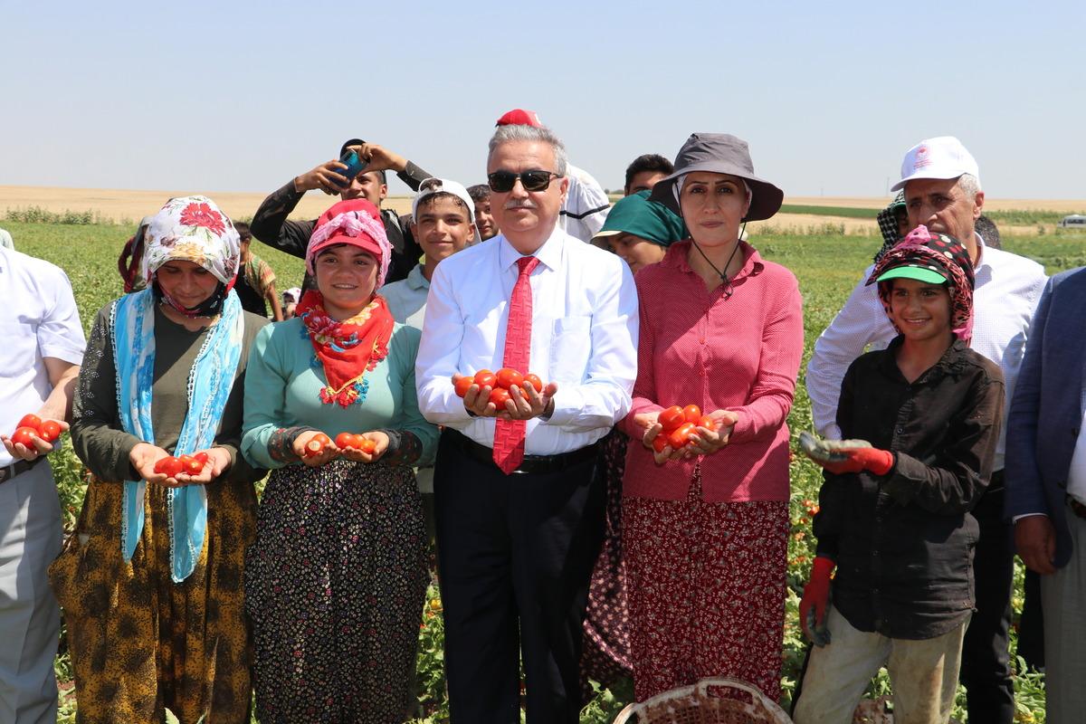 Diyarbakır Valisi Su, kurutmalık domates ve sal&ccedil;a &uuml;reten kadın girişimciyle g&ouml;r&uuml;şt&uuml;: