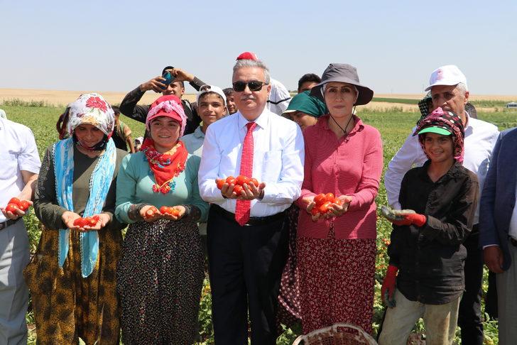 Diyarbakır Valisi Su, kurutmalık domates ve salça üreten kadın girişimciyle görüştü: G1