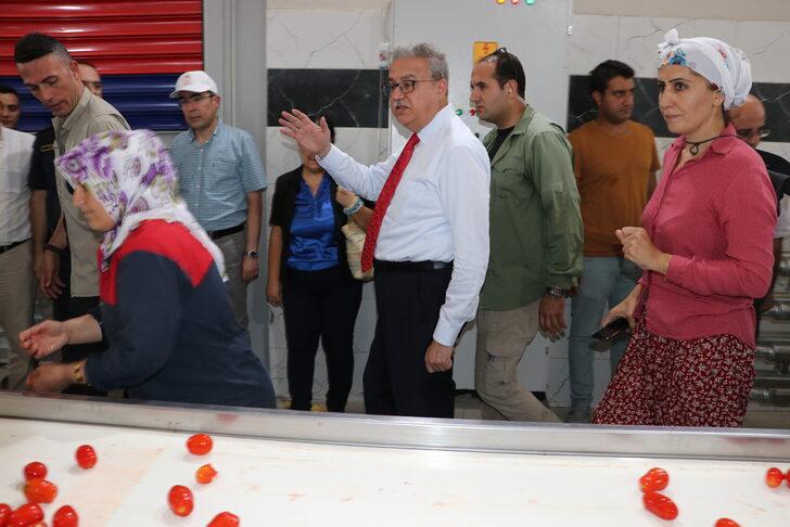 Diyarbakır Valisi Su, kurutmalık domates ve salça üreten kadın girişimciyle görüştü: G5