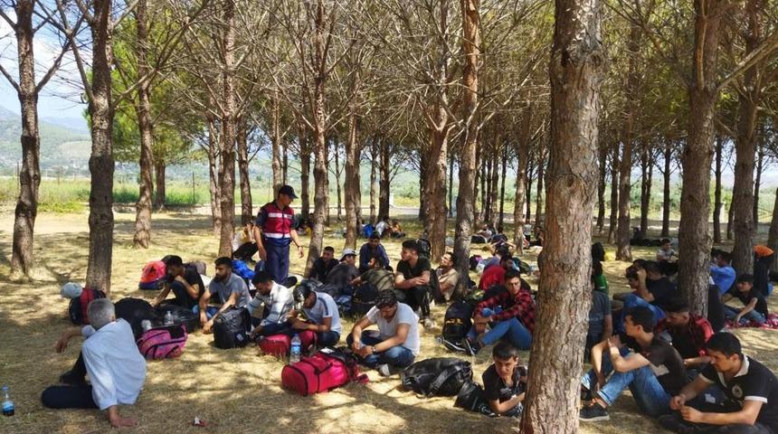 Muğla'da ormanlık alanda 81 düzensiz göçmen yakalandı
