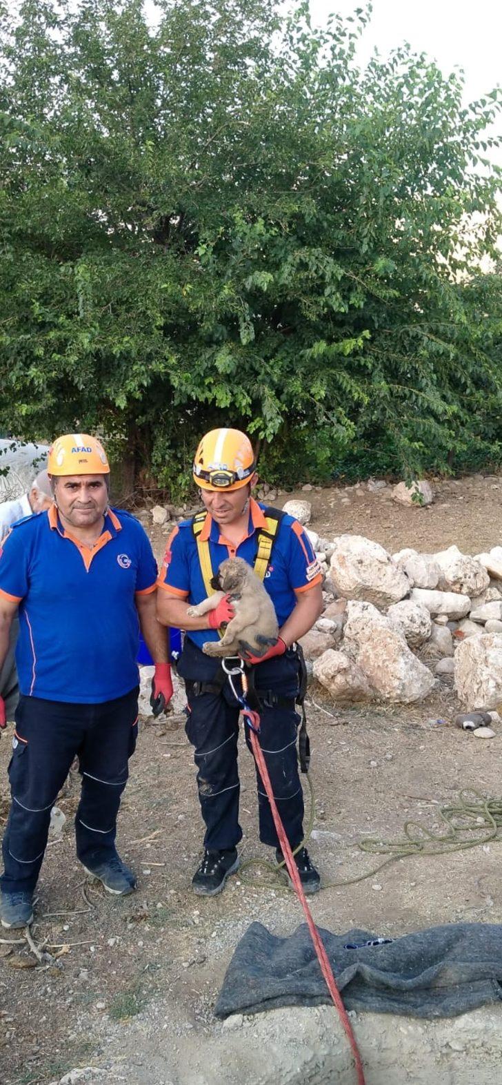 Adıyaman'da su kuyusuna düşen köpek yavrusu kurtarıldı G1