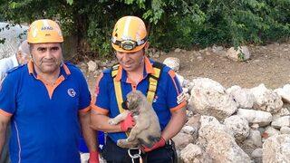 Adıyaman'da su kuyusuna düşen köpek yavrusu kurtarıldı