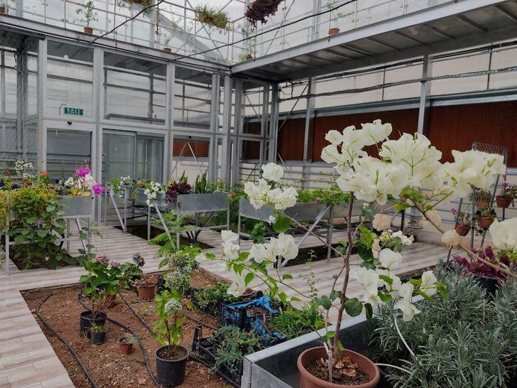 Artvin'de "botanik bahçesi" hizmete girdi G5