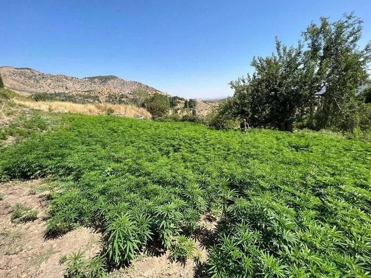 Diyarbakır'da narkoterör operasyonu başlatıldı G5