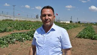 Sivas'ta yerli şeker pancarı tohumu geliştirilme çalışmaları sürüyor