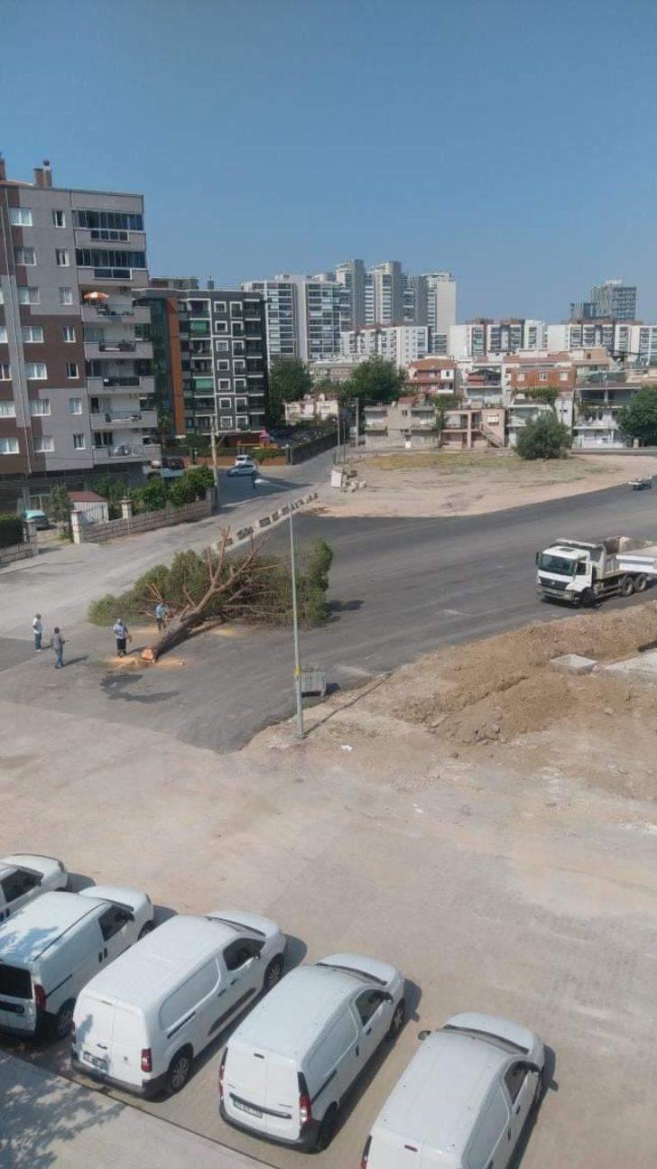 AK Parti'den İzmir Büyükşehir Belediyesine "ağaç kesme" tepkisi G2