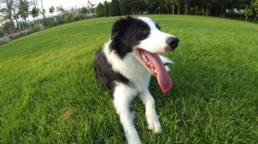 Xiaomi Yi kamera test edildi