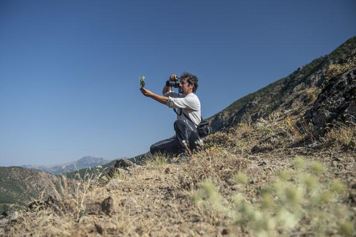 Doğasever akademisyen Tunceli dağlarında endemik bitkilerin izini sürüyor G1