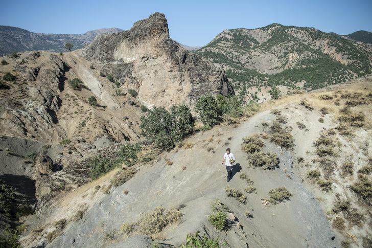 Doğasever akademisyen Tunceli dağlarında endemik bitkilerin izini sürüyor G3