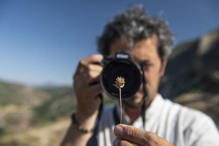 Doğasever akademisyen Tunceli dağlarında endemik bitkilerin izini sürüyor G4