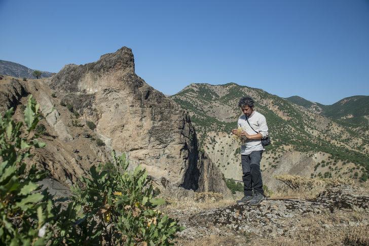 Doğasever akademisyen Tunceli dağlarında endemik bitkilerin izini sürüyor G5