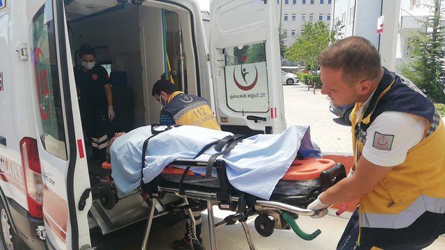 Bilecik’te ayının saldırdığı kişi yaralandı