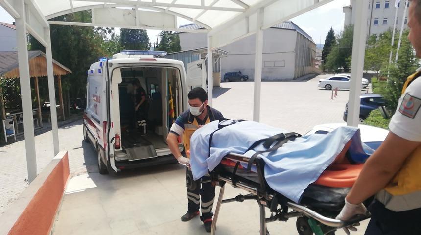 Bilecik’te ayının saldırdığı kişi yaralandı