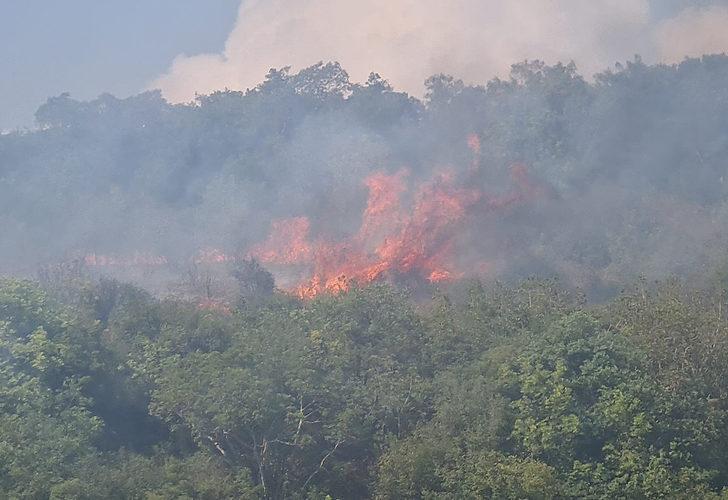 Kocaeli'de korkutan orman yangını! Ekipler arazi nedeniyle ilerlemekte güçlük çekiyor