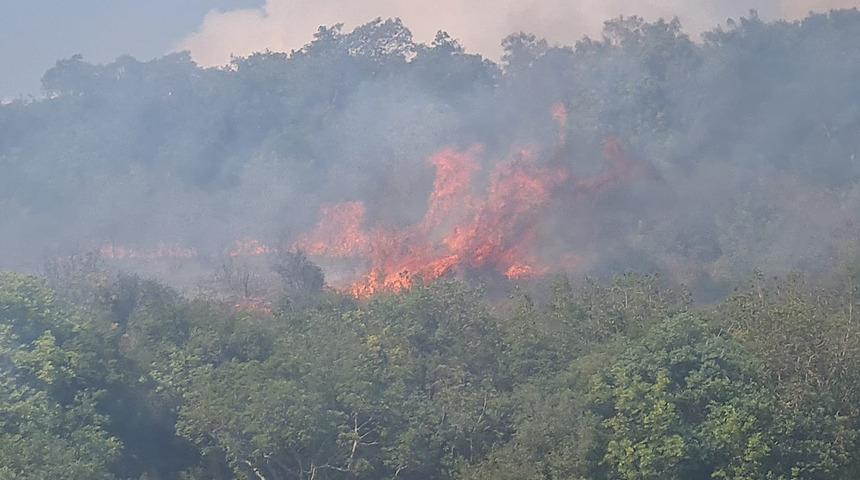 Kocaeli'de korkutan orman yangını! Ekipler arazi nedeniyle ilerlemekte güçlük çekiyor