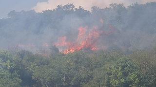 Kocaeli'de korkutan orman yangını! Ekipler arazi nedeniyle ilerlemekte güçlük çekiyor