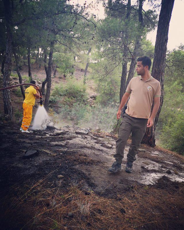 Adana'da ormanlık alanda çıkan yangın söndürüldü