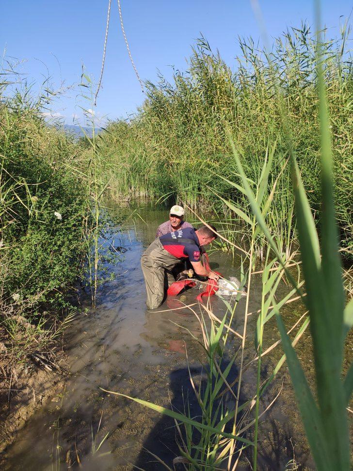 Tokat'ta balçığa saplanan ineği itfaiye ekipleri kurtardı G2