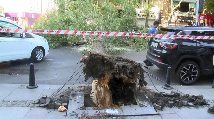 Sarıyer'de caddeye devrilen ağaç trafiği aksattı