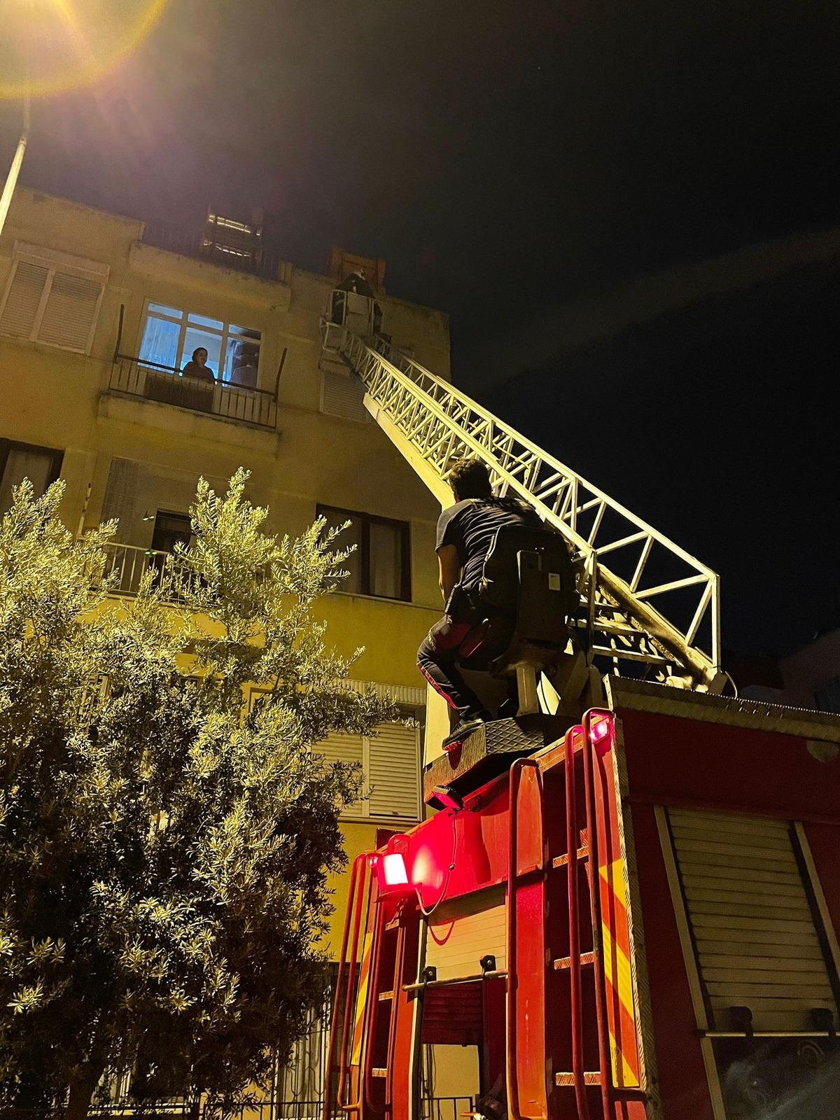 Antalya'da itfaiye ekibinin seferber olduğu kedi, 4. kattan atladı