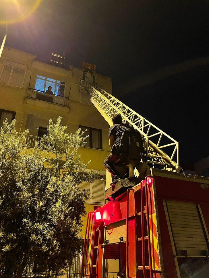 Antalya'da itfaiye ekibinin seferber olduğu kedi, 4. kattan atladı G1