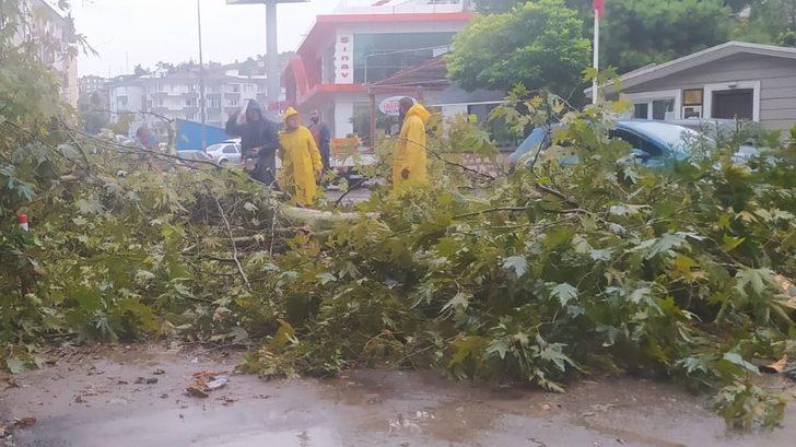 GÜNCELLEME - Bursa'da sağanak hayatı olumsuz etkiledi G3