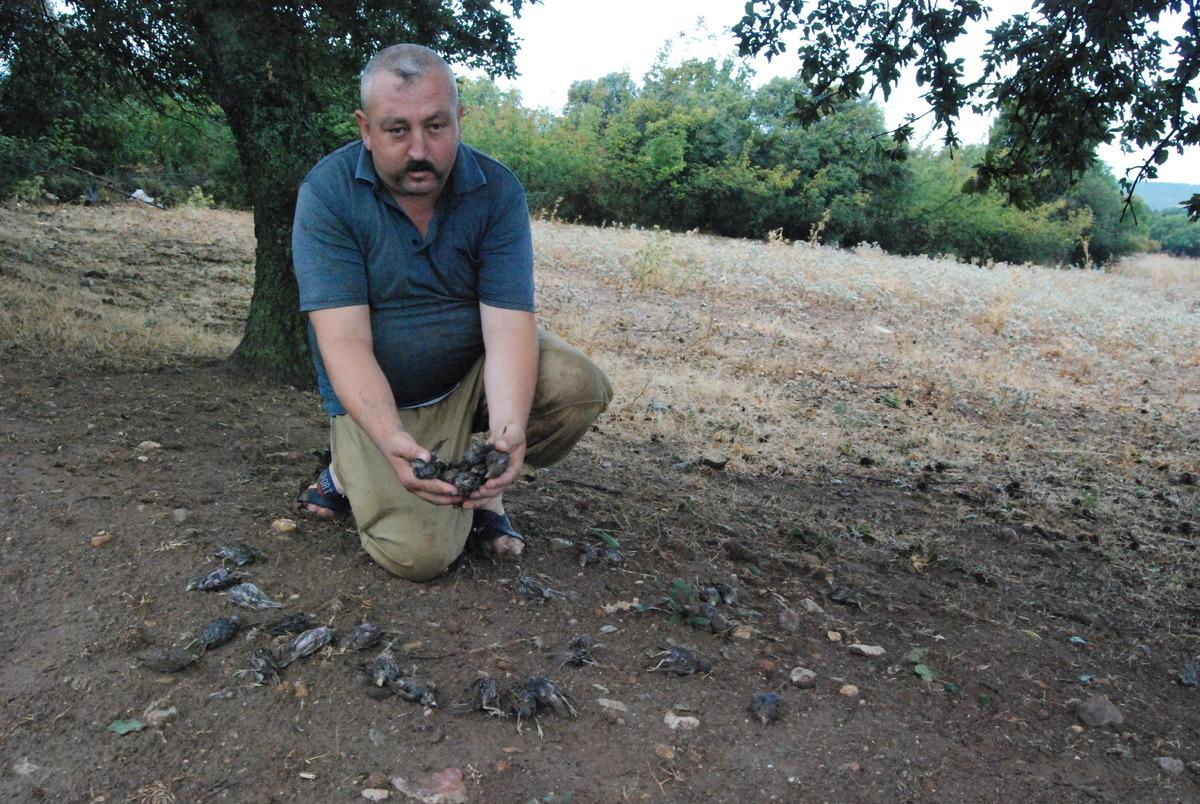 &Ccedil;anakkale'de fırtına ve yağış etkili oldu