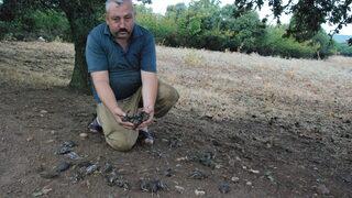 Çanakkale'de fırtına ve yağış etkili oldu