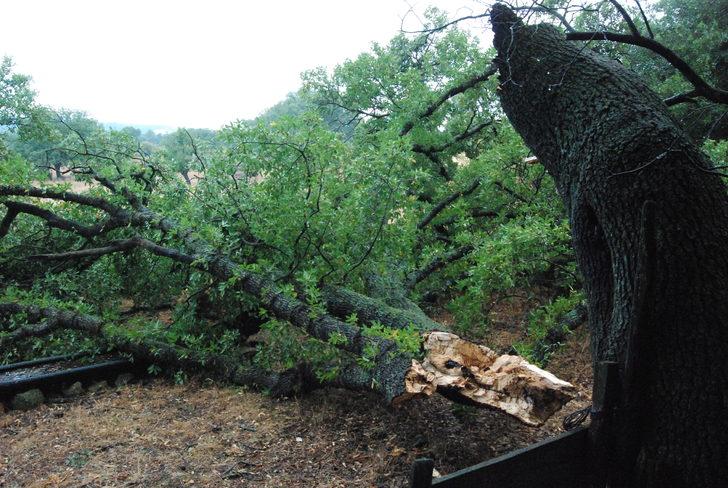 Çanakkale'de fırtına ve yağış etkili oldu G2