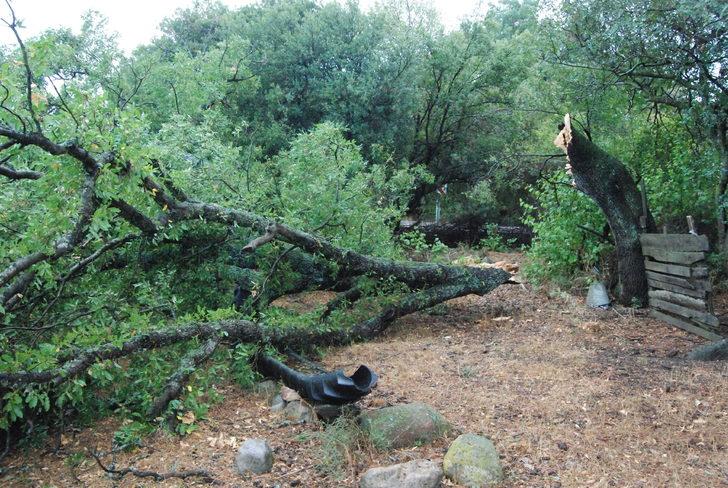Çanakkale'de fırtına ve yağış etkili oldu G3