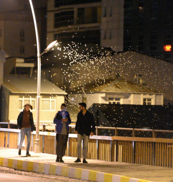 Ardahan'da "bir günlükler"in "ölüm uçuşu" sürüyor G2