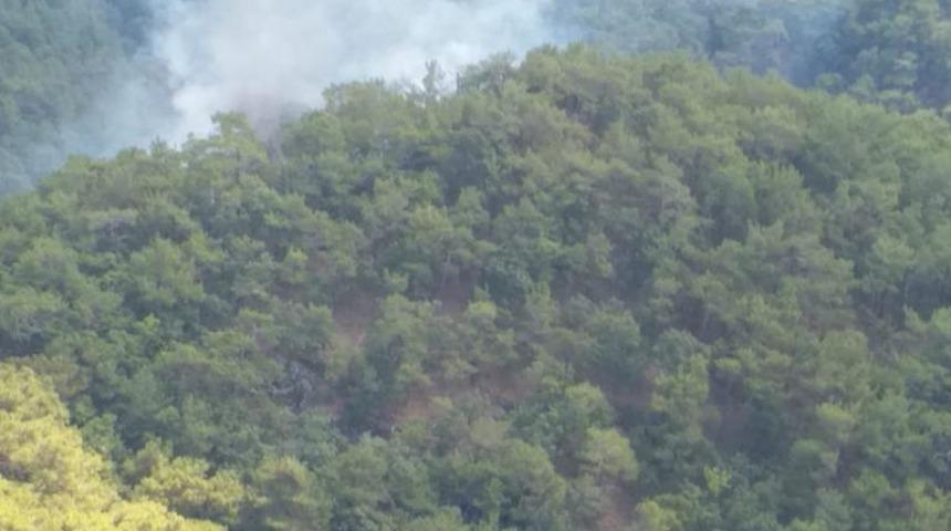 Balıkesir'de çıkan orman yangını kontrol altına alındı