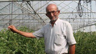 Ata tohumlarına gözü gibi bakıyor! 'Altın değerinde kaybetmemek için...'