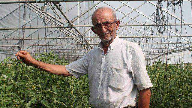 Ata tohumlarına gözü gibi bakıyor! 'Altın değerinde kaybetmemek için...'