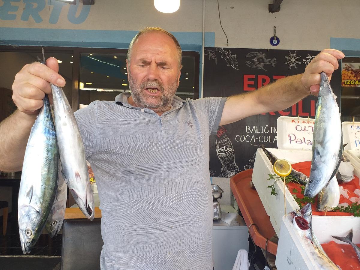 Zonguldak'ta sezonun ilk palamutlarının bolluğu balık&ccedil;ıları umutlandırdı