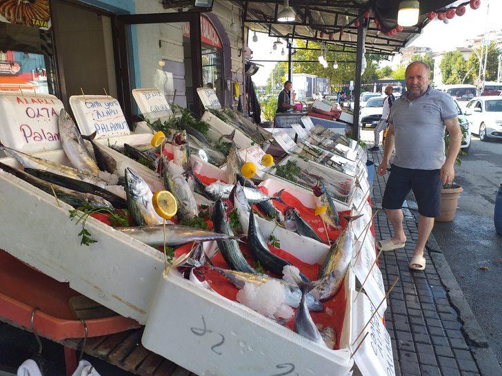 Zonguldak'ta sezonun ilk palamutlarının bolluğu balıkçıları umutlandırdı G2