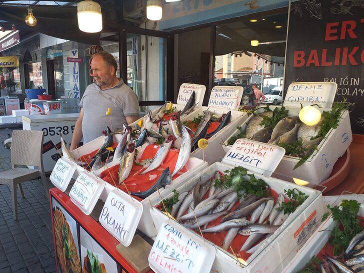 Zonguldak'ta sezonun ilk palamutlarının bolluğu balıkçıları umutlandırdı G3